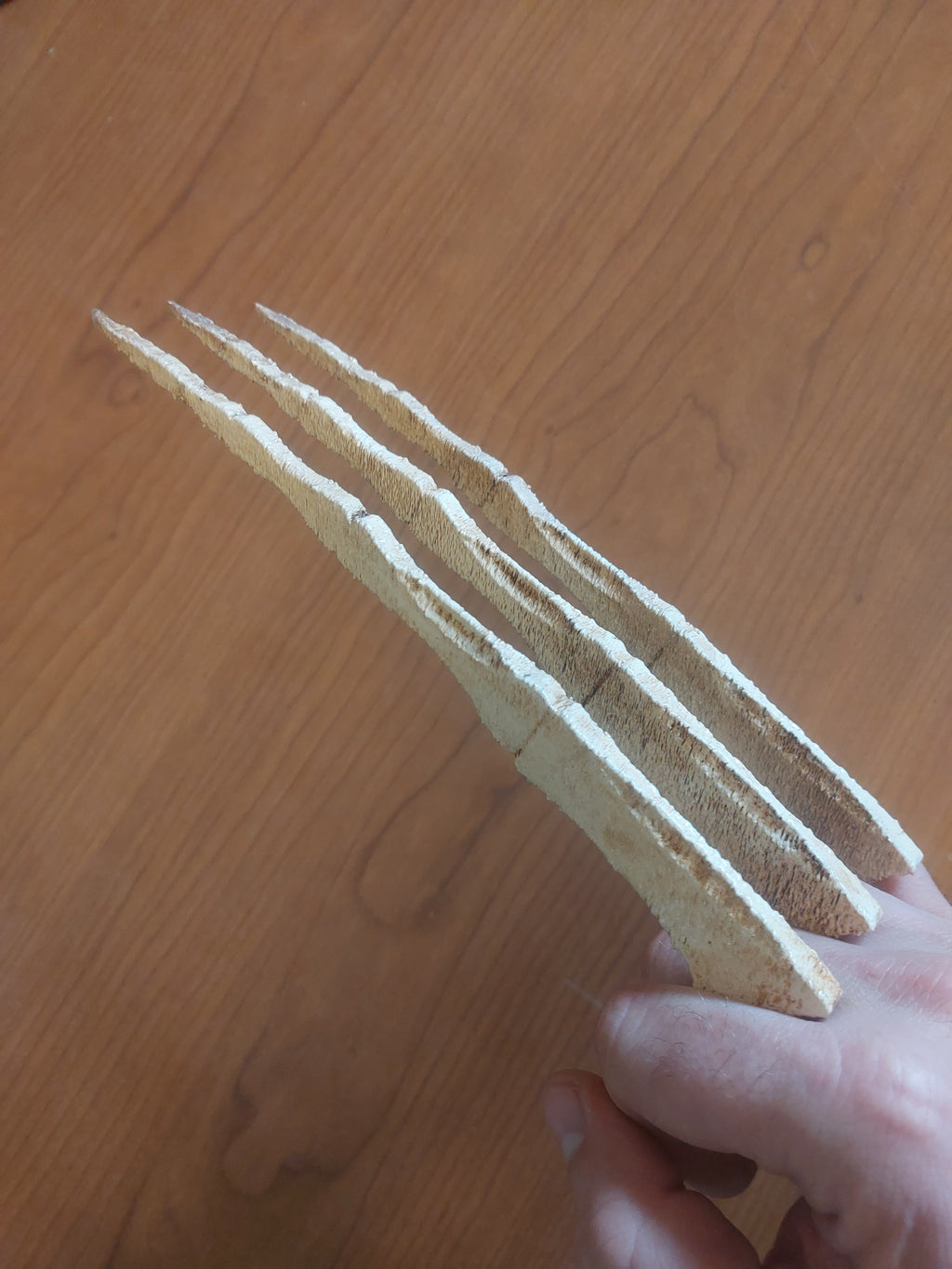 Bone Wolverine Claws Costume Prop
