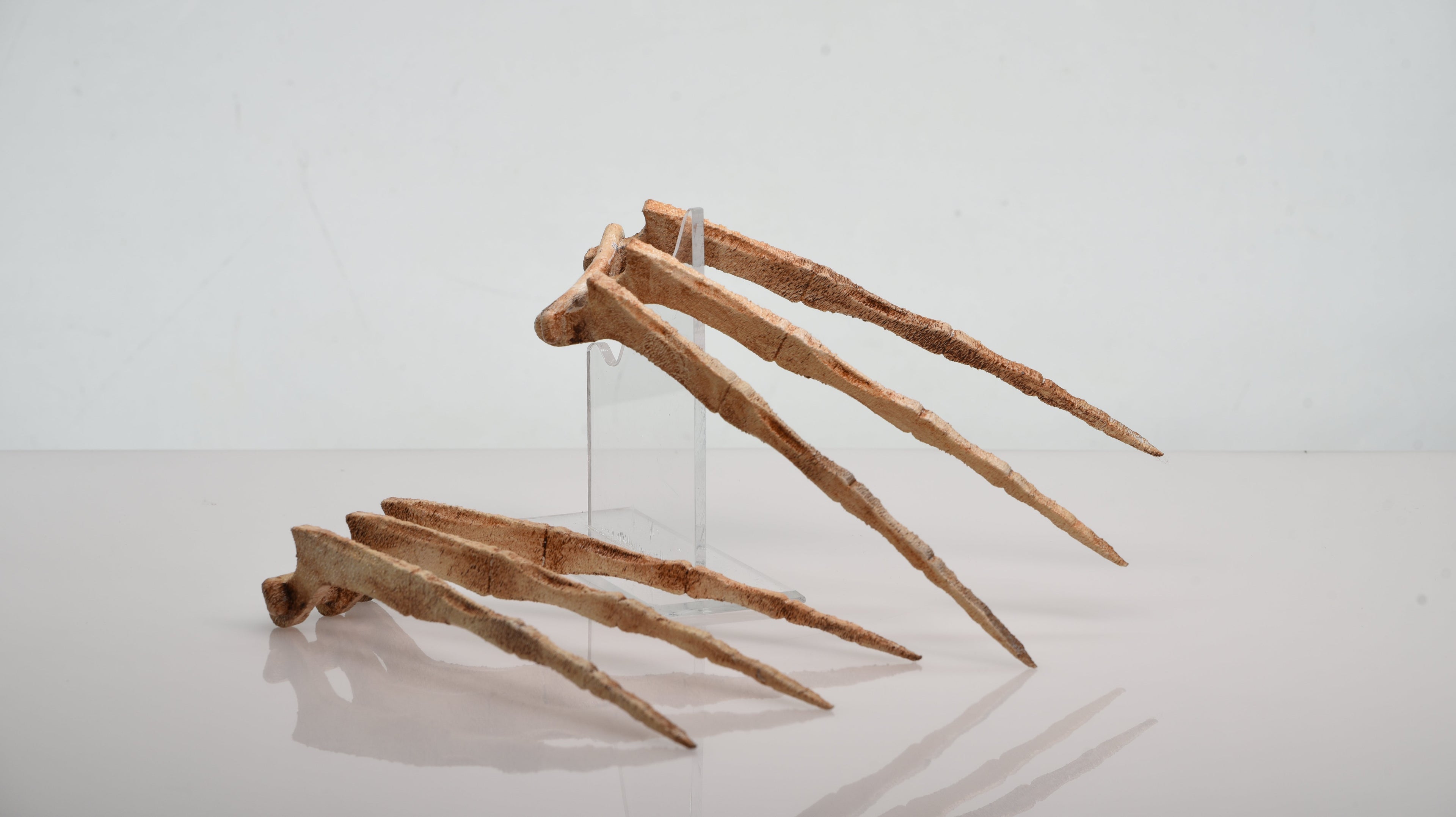 Bone Wolverine Claws Costume Prop